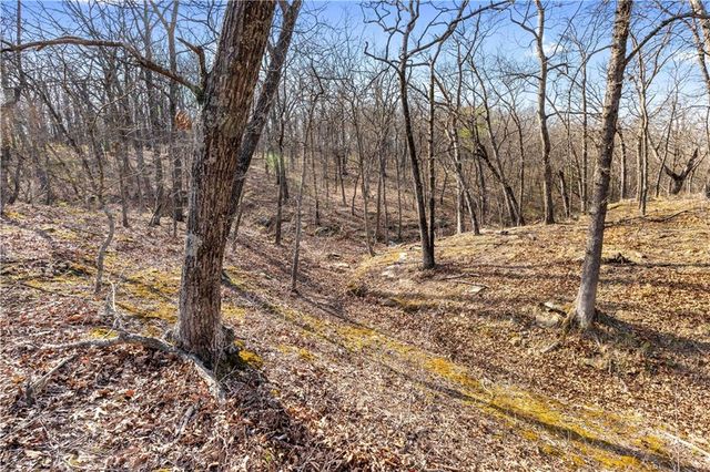 23529 E Overland Road, Nevada, MO 64772