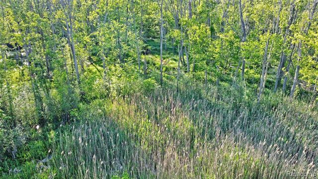 5890 Grange Hall Road, Holly, MI 48442