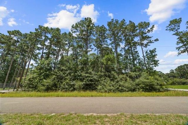 19263 Purus Drive, Porter, TX 77365