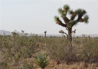 0 3129-171-06-0000 Caughlin, Adelanto, CA 92301