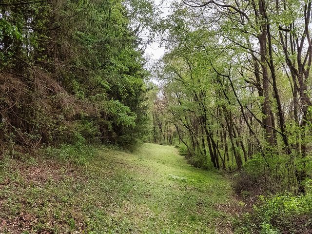 353 Thompson Hill Rd, Independence, PA 15001