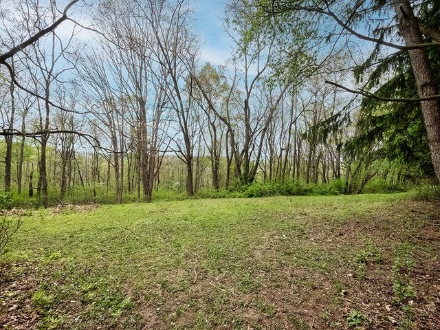 353 Thompson Hill Rd, Independence, PA 15001