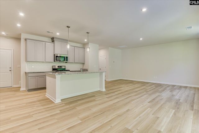 562 Old Charleston Road, Pelion, SC 29123