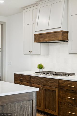 5042 Airlake Draw, Woodbury, MN 55129