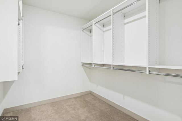 5042 Airlake Draw, Woodbury, MN 55129