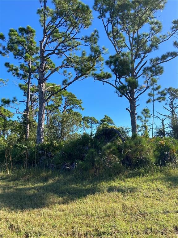 110 FRENCH COURT, Rotonda West, FL 33947