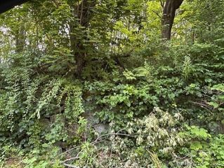 125 Talman Street, Norwich, CT 06360