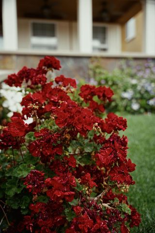 1455 Montauban Ct, Tracy, CA 95304