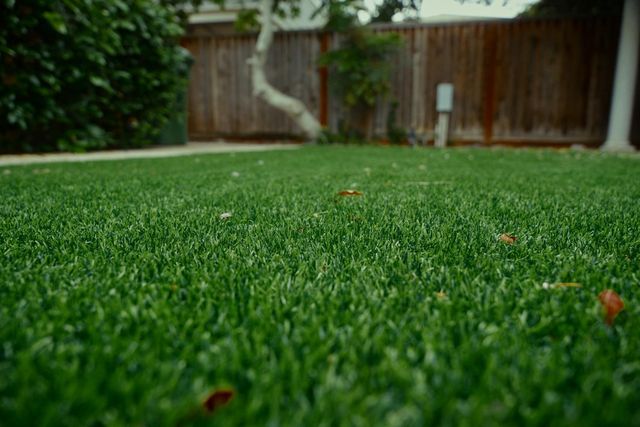 1455 Montauban Ct, Tracy, CA 95304