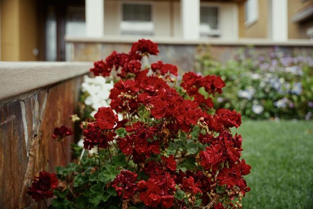 1455 Montauban Ct, Tracy, CA 95304