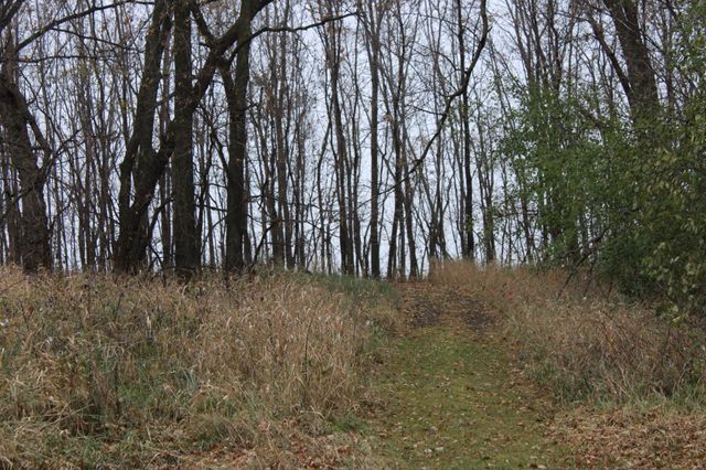 13657 180th Street, Hassan Valley Twp, MN 55350