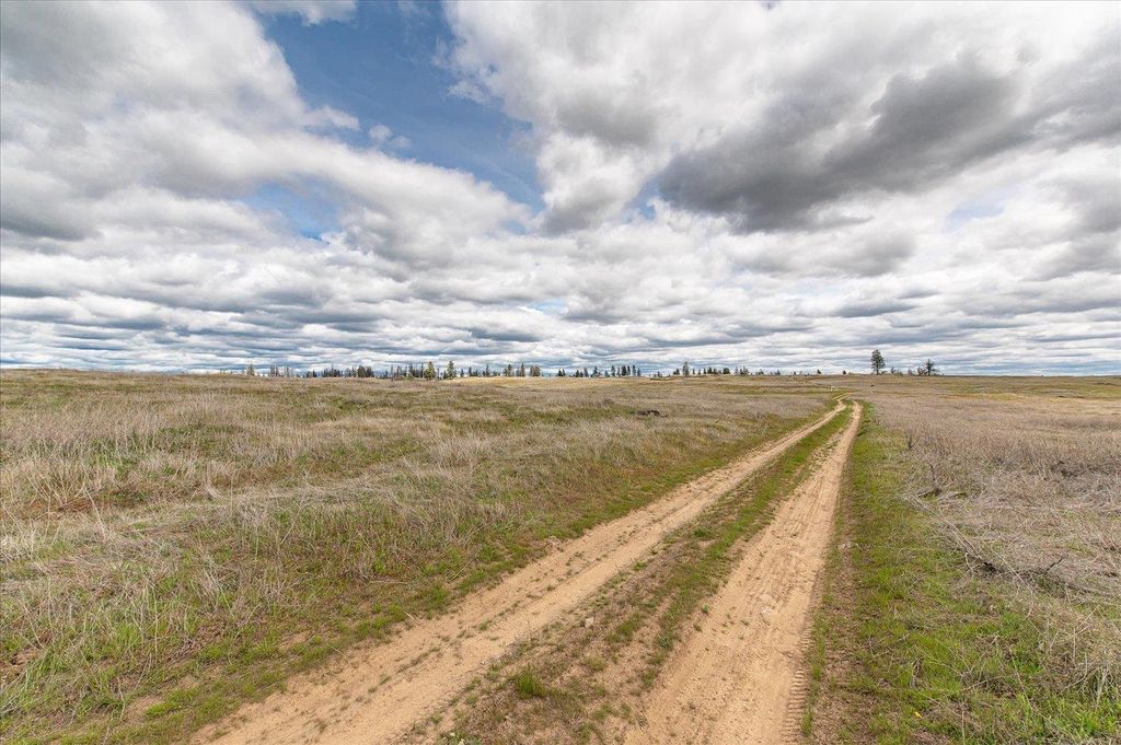 26405 Lone Pine E Rd, Davenport, WA 99122 photo 12