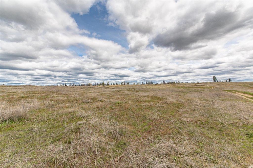 26405 Lone Pine E Rd, Davenport, WA 99122 photo 13