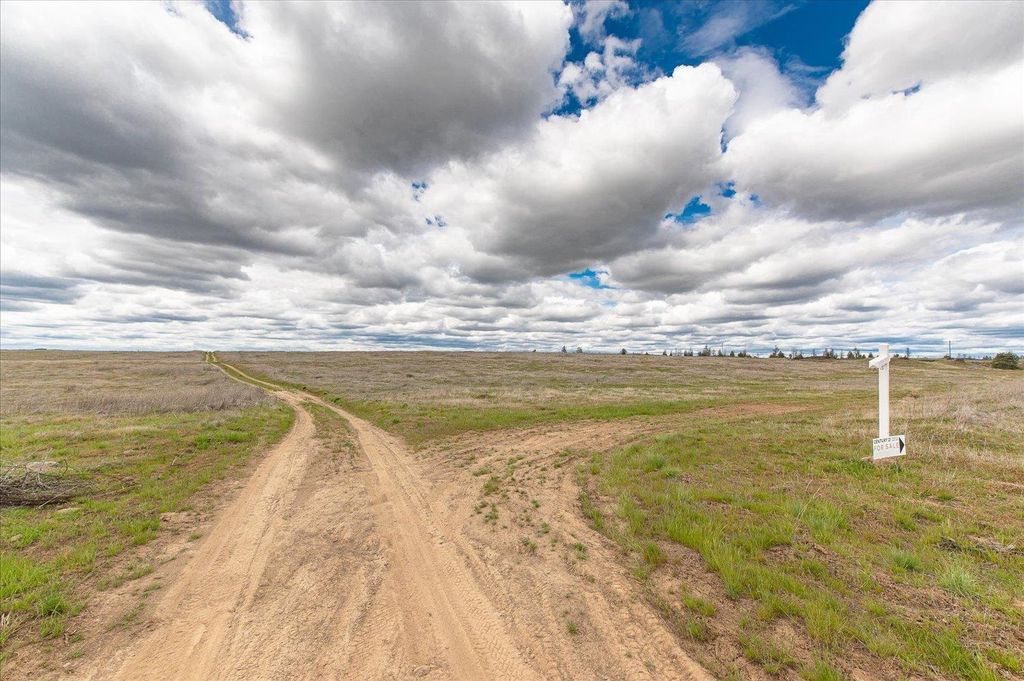 26405 Lone Pine E Rd, Davenport, WA 99122 photo 14