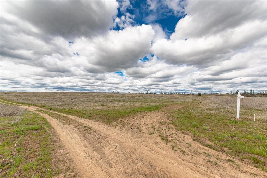 26405 Lone Pine E Rd, Davenport, WA 99122 photo 15