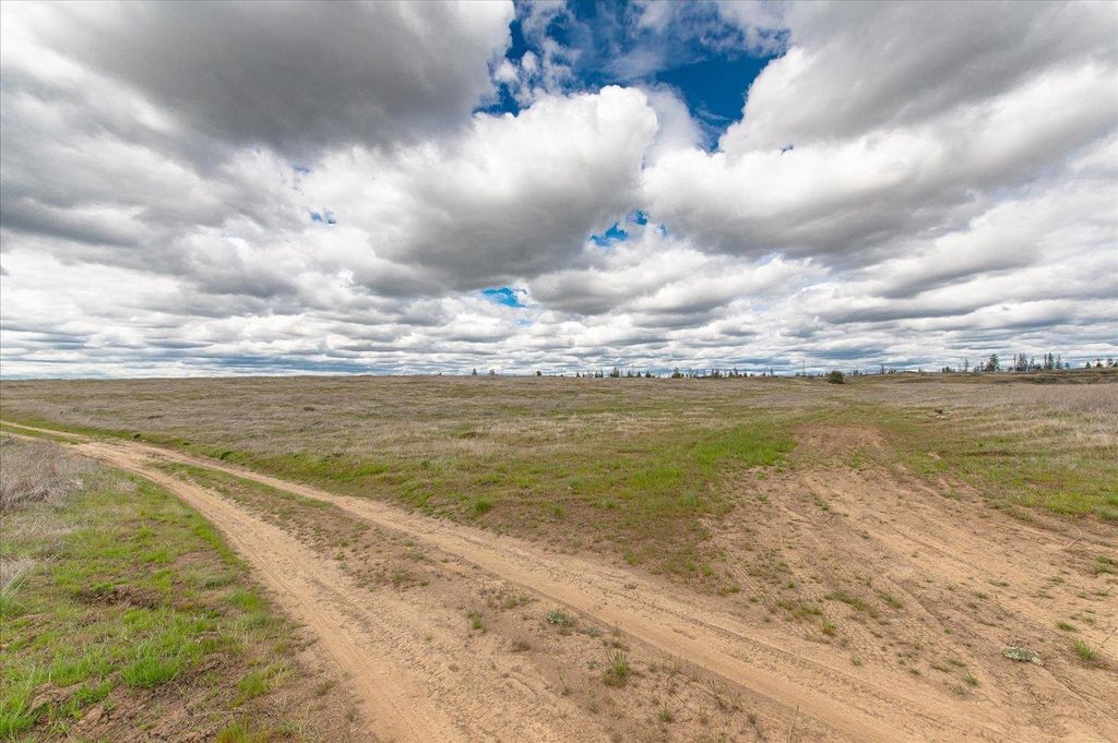 26405 Lone Pine E Rd, Davenport, WA 99122 photo 16