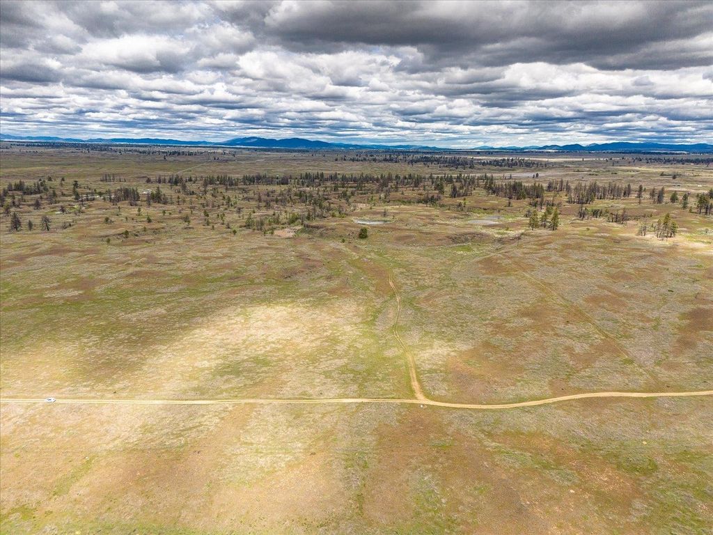 26405 Lone Pine E Rd, Davenport, WA 99122 photo 6