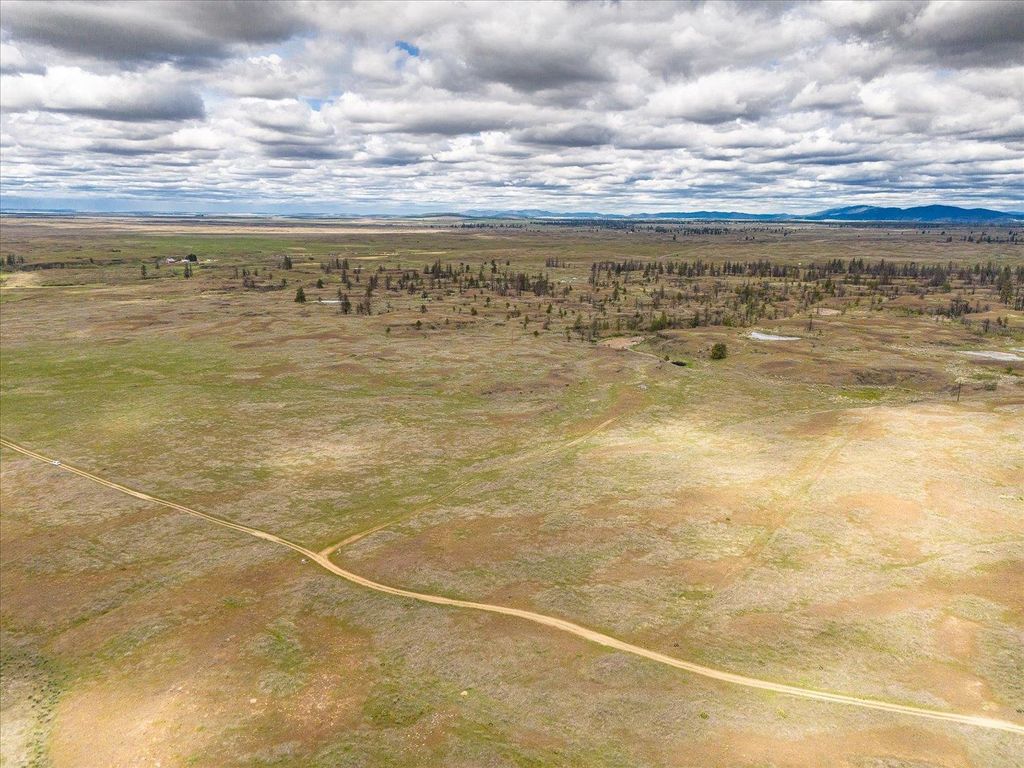 26405 Lone Pine E Rd, Davenport, WA 99122 photo 9