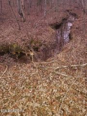 Lot 45 Indian Tr, Monterey, TN 38574