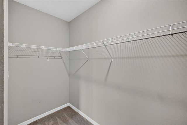 3087 FORREST PLUM COURT, Zephyrhills, FL 33540