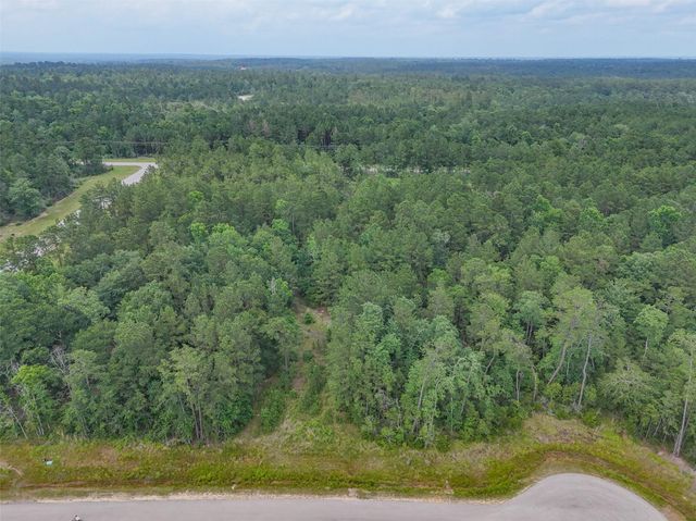 106 Eagle Run Road, Willis, TX 77378