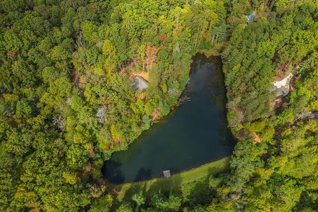 85 Moreland Trail, Blue Ridge, GA 30513