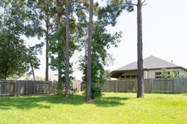 246 Crest Sights Drive, Montgomery, TX 77316
