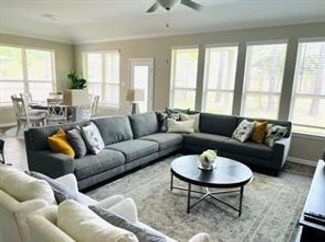 246 Crest Sights Drive, Montgomery, TX 77316
