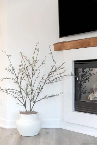 229 Bonair St, La Jolla, CA 92037