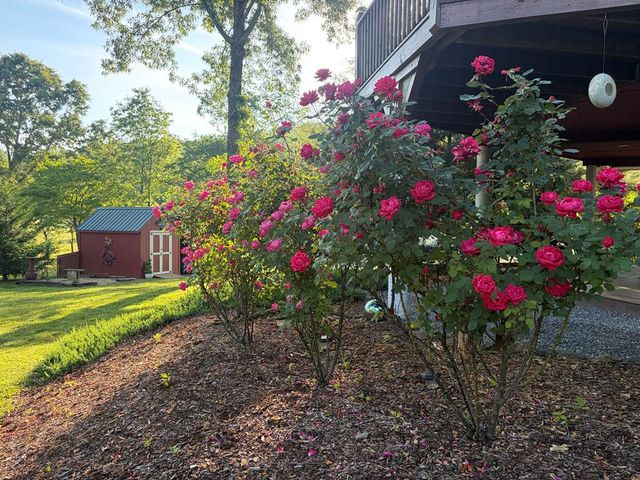 157 Sims Road, Hiawassee, GA 30546