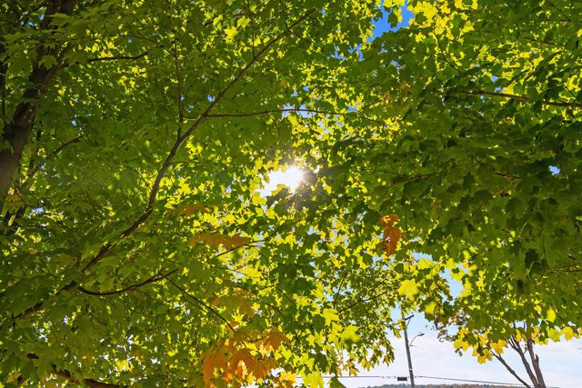 123 North Road, Fairfield, VT 05455