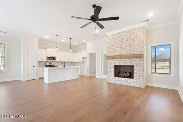 2984 Eden Lane, Nesbit, MS 38651