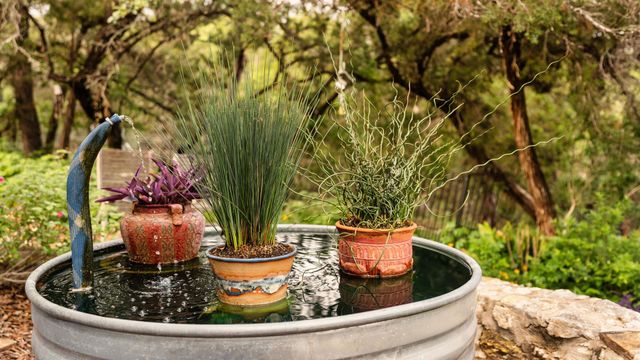 521 Rancho Grande DR, Wimberley, TX 78676