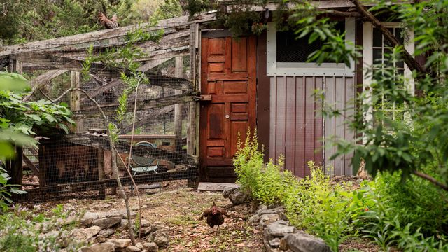 521 Rancho Grande DR, Wimberley, TX 78676