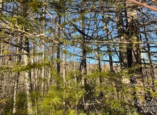 0000 Shelton Laurel Road, Clyde, NC 28721