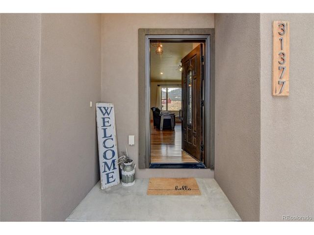 31377 Glenview Dr, Buena Vista, CO 81211