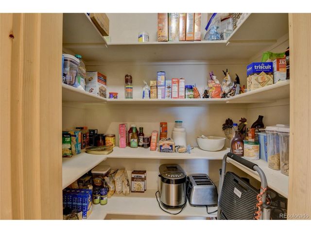 31377 Glenview Dr, Buena Vista, CO 81211