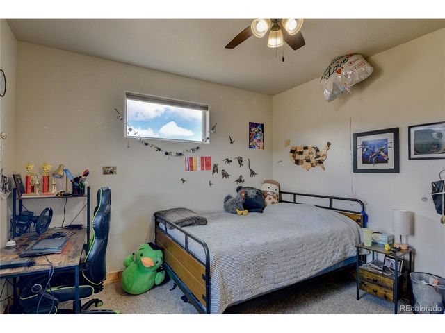 31377 Glenview Dr, Buena Vista, CO 81211