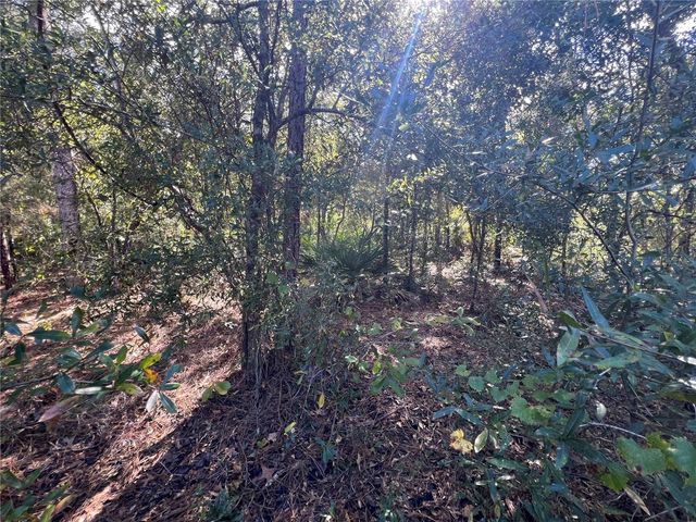 5650 W KETTLE LANE, Crystal River, FL 34429