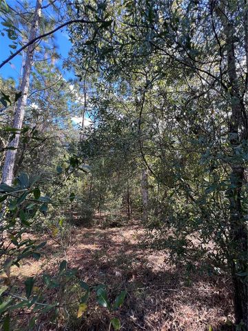 5650 W KETTLE LANE, Crystal River, FL 34429