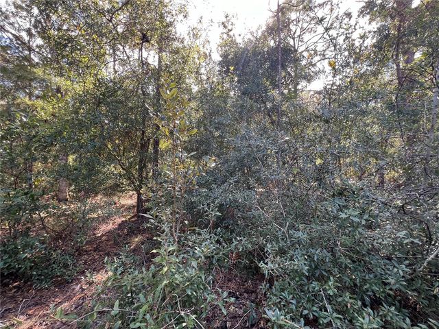 5650 W KETTLE LANE, Crystal River, FL 34429