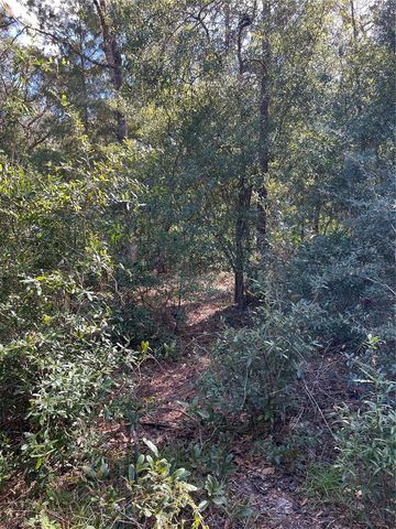 5650 W KETTLE LANE, Crystal River, FL 34429