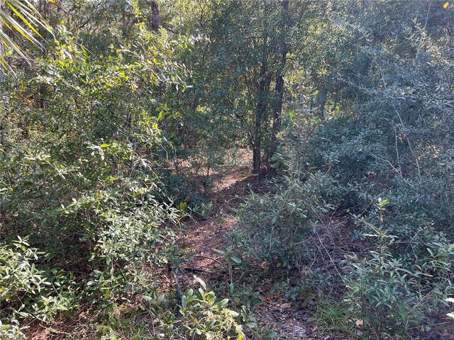 5650 W KETTLE LANE, Crystal River, FL 34429