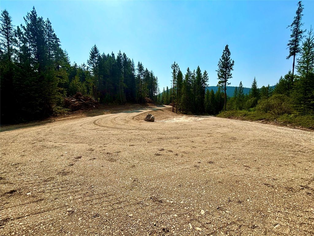 NHN W Fork Combest Creek, Plains, MT 59859 photo 5