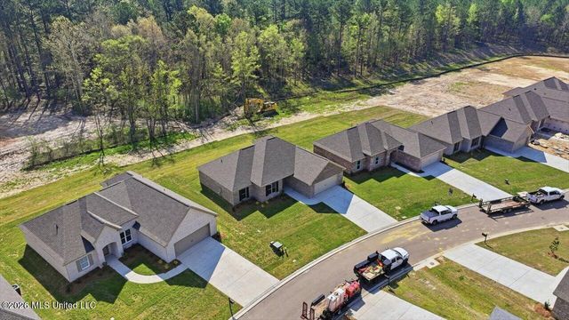 209 Anderson Oaks Drive, Pearl, MS 39208