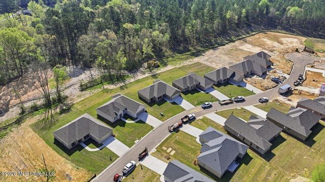 209 Anderson Oaks Drive, Pearl, MS 39208