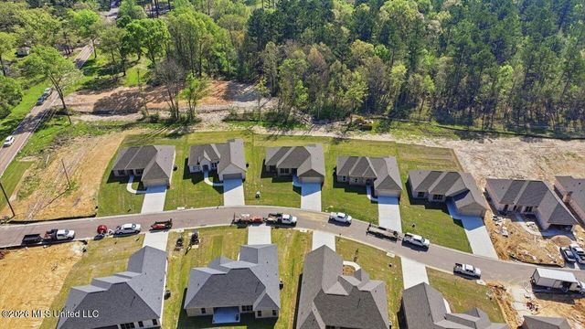 209 Anderson Oaks Drive, Pearl, MS 39208