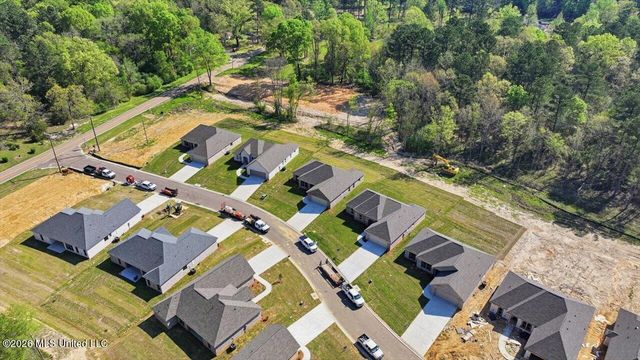 209 Anderson Oaks Drive, Pearl, MS 39208