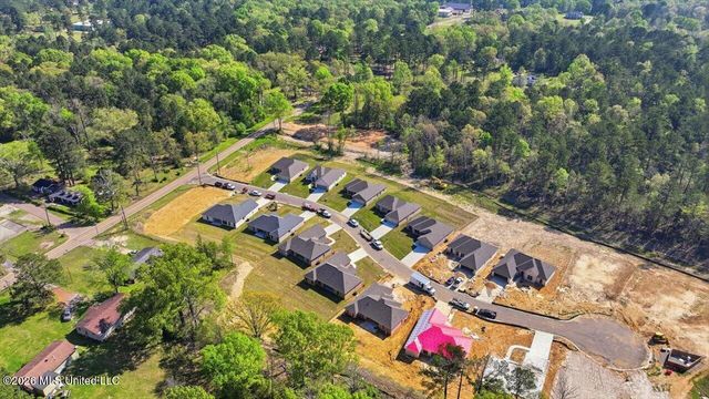 209 Anderson Oaks Drive, Pearl, MS 39208