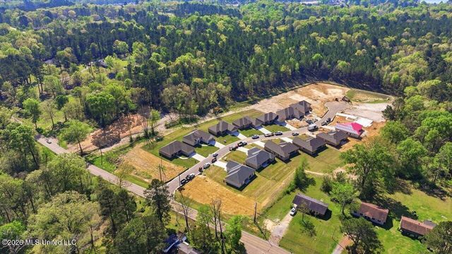 209 Anderson Oaks Drive, Pearl, MS 39208